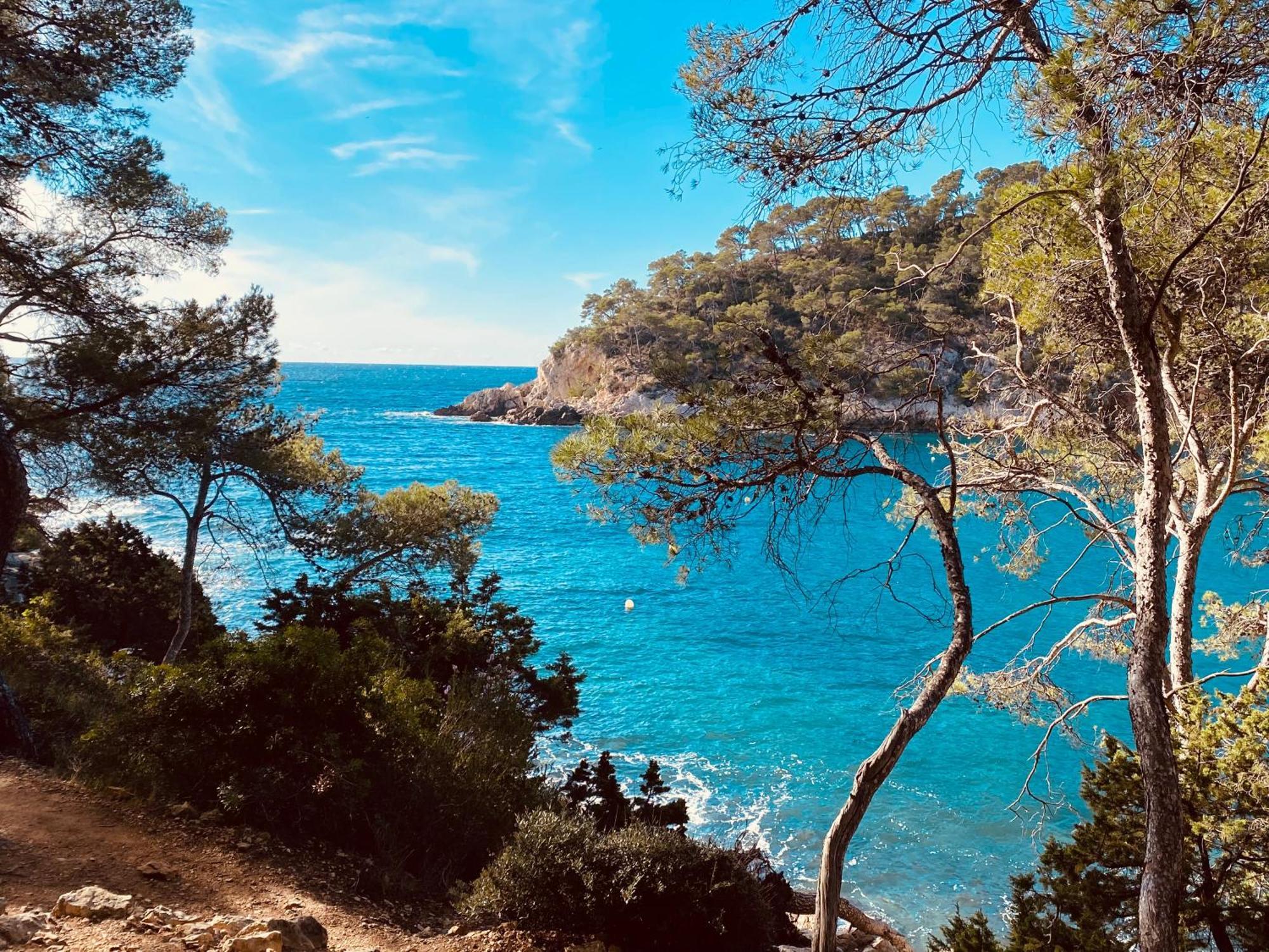Lodge entre ciel et mer Saint-Cyr-sur-Mer Eksteriør bilde
